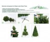 Green Trees    180  - Green Trees    180 