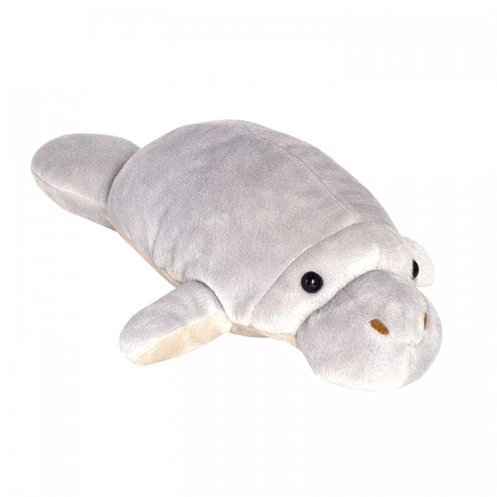   All About Nature  25 