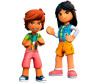  Lego Friends   (63 ) - Lego Friends   (63 )