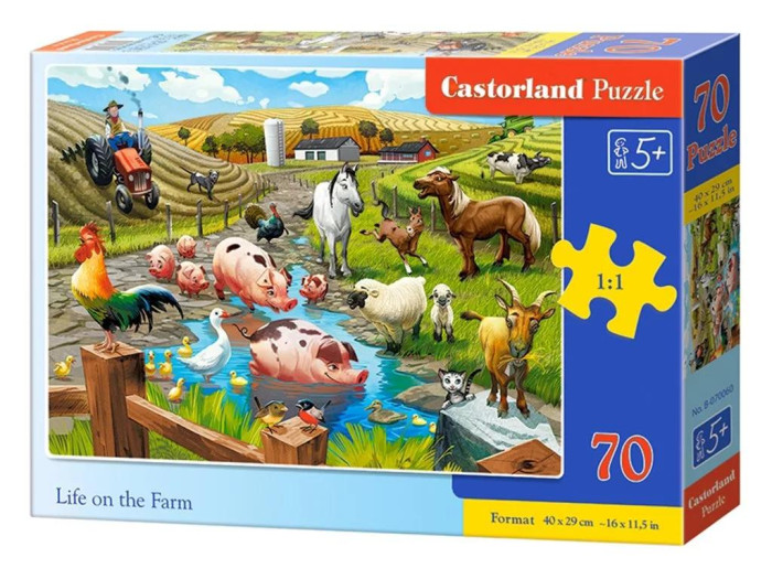  Castorland  Premium    (70 )