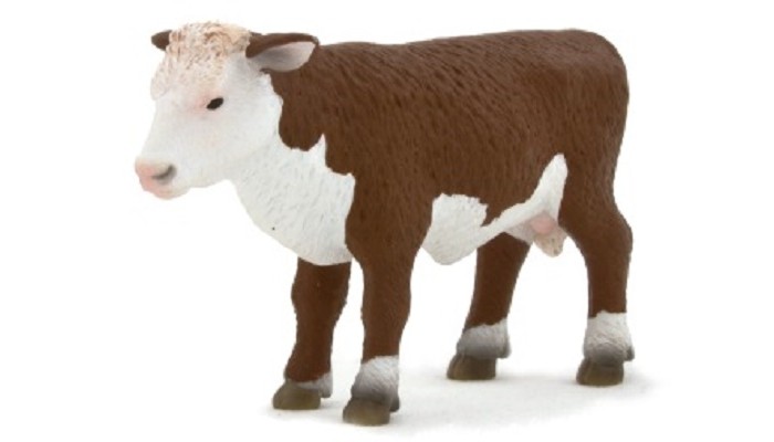  Mojo Animal Planet   M