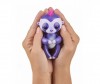   Fingerlings   12  - Fingerlings   12 