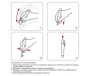  Attache      Economy 4  - Attache      Economy 4 