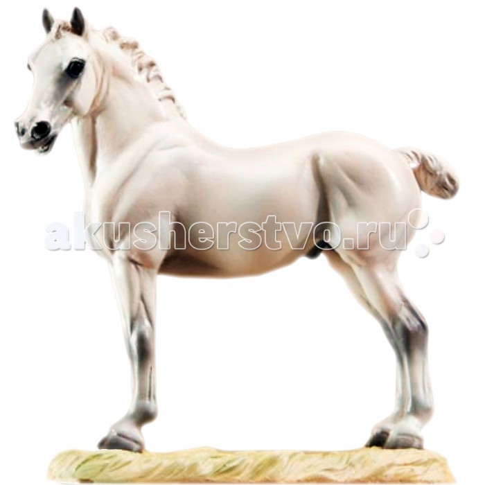  Breyer    (   )