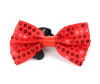 Veld CO - - Veld CO -  