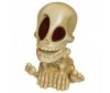   Johnny the Skull    1  - Johnny the Skull    -  1 