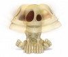   Johnny the Skull    1  - Johnny the Skull    -  1 