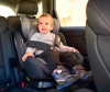  Bertoni (Lorelli) Lyra Isofix - Bertoni (Lorelli) Lyra Isofix