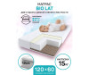  AmaroBaby Bio Lat    1190x590120 - AmaroBaby Bio Lat    1190x590120