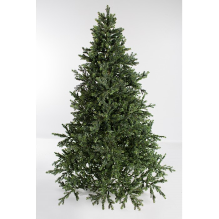  Green Trees    240 