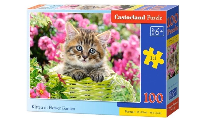  Castorland Puzzle    (100 )