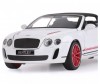    Bentley Continental Supersports ISR -   Bentley Continental Supersports ISR
