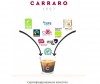  Carraro  Amaro   250  - Pintola  Carraro Amaro   250 