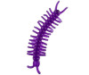   HTI   Gel Bugs - HTI - Gel Bugs