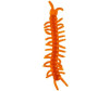   HTI   Gel Bugs - HTI - Gel Bugs