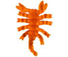   HTI   Gel Bugs - HTI - Gel Bugs