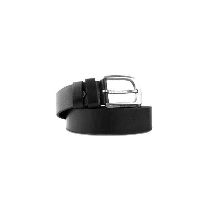  Wild Bear  RM-011m