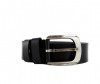  Wild Bear  RM-011m - Wild Bear  RM-011m