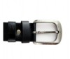  Wild Bear  RM-011m - Wild Bear  RM-011m