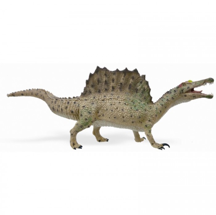  Collecta  