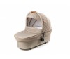  Bebe Due Beyond Dragon  2  1 - Bebe Due Beyond Dragon