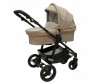  Bebe Due Beyond Dragon  2  1 - Bebe Due Beyond Dragon  2  1
