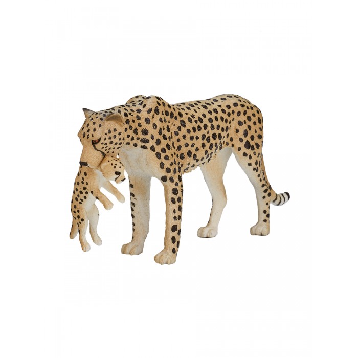  Mojo Animal Planet      XL