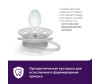  Philips Avent  Soft 6-18 . 2 . SCF091/18       - Philips Avent  Soft 6-18 . 2 . SCF091/18      