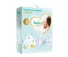  Pampers   Premium Care  1 (2-5 ) 72 . - Pampers   Premium Care  ,  1, (2-5 )