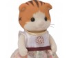  Sylvanian Families       - Sylvanian Families      