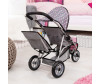    Bayer Desing Twin Dolls pram DUO  - Bayer      Twin Neo