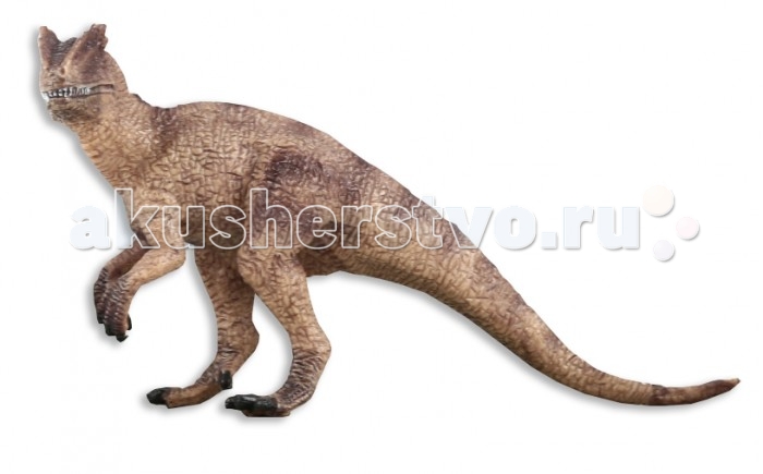  Dinosaur Family  