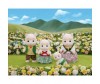  Sylvanian Families    - Sylvanian Families   