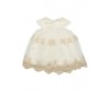  Baby Rose  2024 - Baby Rose  2024