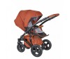  Coletto Milano 2  1 - Coletto Milano 2  1