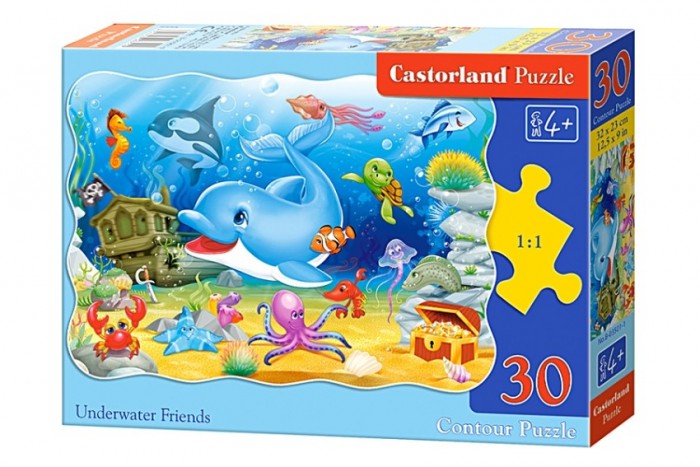  Castorland Puzzle Midi   (30 )