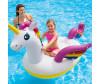  Intex  -     251163145  - Intex    251163145 