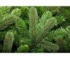  Crystal Trees    150  - Crystal Puzzle    150 