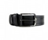  Wild Bear  RM-003m - Wild Bear  RM-003m/004m