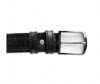  Wild Bear  RM-003m - Wild Bear  RM-003m/004m