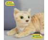   KiDWoW   392872954 - INF_LW602719913Y_1-1698770165