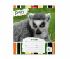  ErichKrause    Lemur Style  18  - ErichKrause    Lemur Style  18 