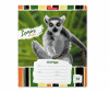  ErichKrause    Lemur Style  18  - ErichKrause    Lemur Style  18 