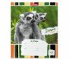  ErichKrause    Lemur Style  18  - ErichKrause    Lemur Style  18 