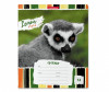  ErichKrause    Lemur Style  18  - ErichKrause    Lemur Style  18 