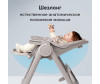    Happy Baby Berny Lux ( ) - Happy Baby Berny Lux