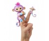   Fingerlings    12  - Fingerlings    12 