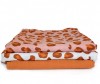  Tommy Lise  Leopard 120120 - Tommy Lise  Coral Leopard 120120