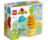  Lego Duplo   (11 ) - Lego Duplo   (11 )