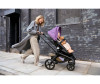  Bugaboo 2  1 Fox 5  Graphite - Bugaboo 2  1 Fox 5  Graphite